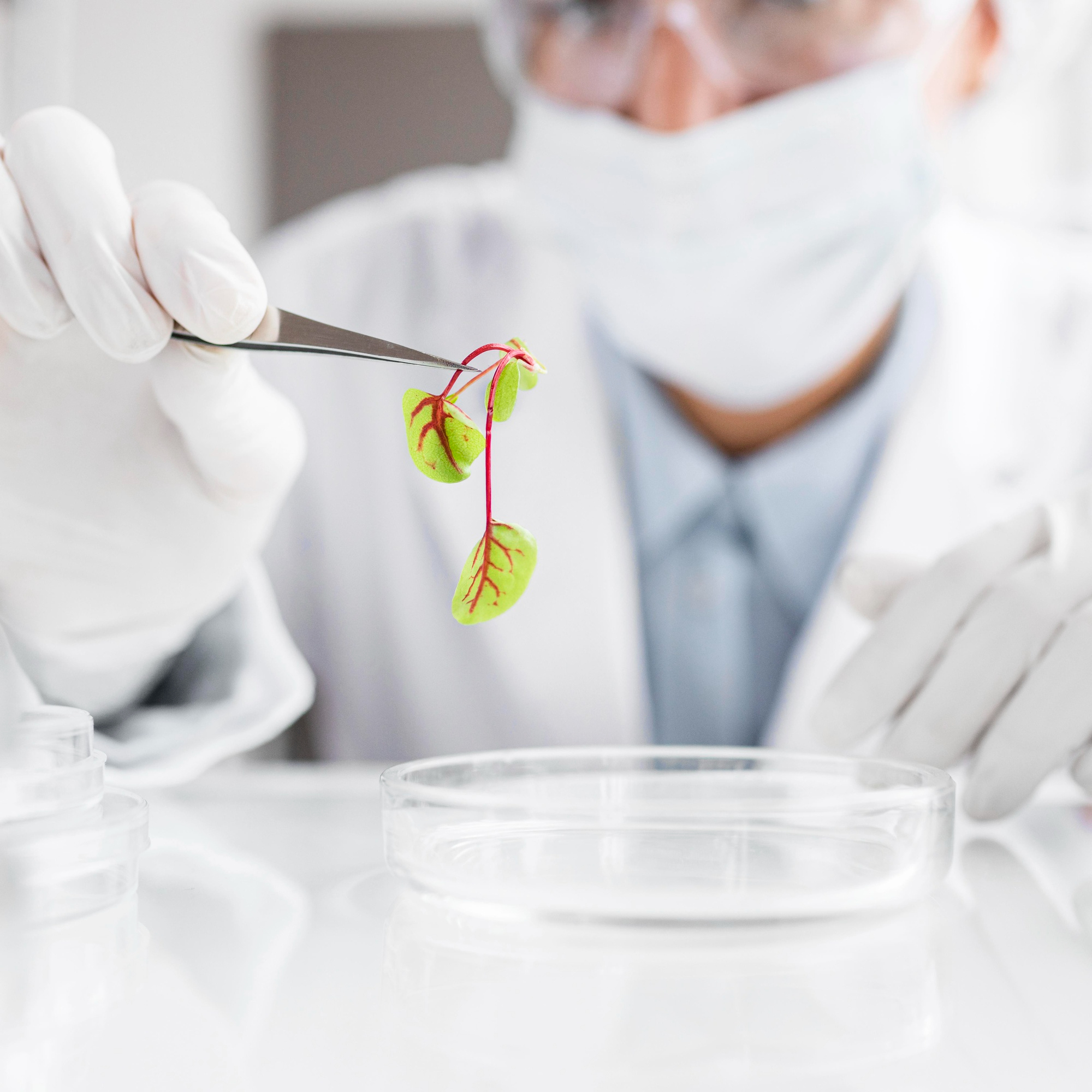 Biotehnoloģija un dzīvības zinātnes
